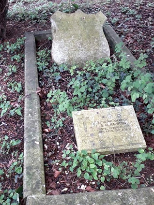 Sidney Michael Hawkin's grave
